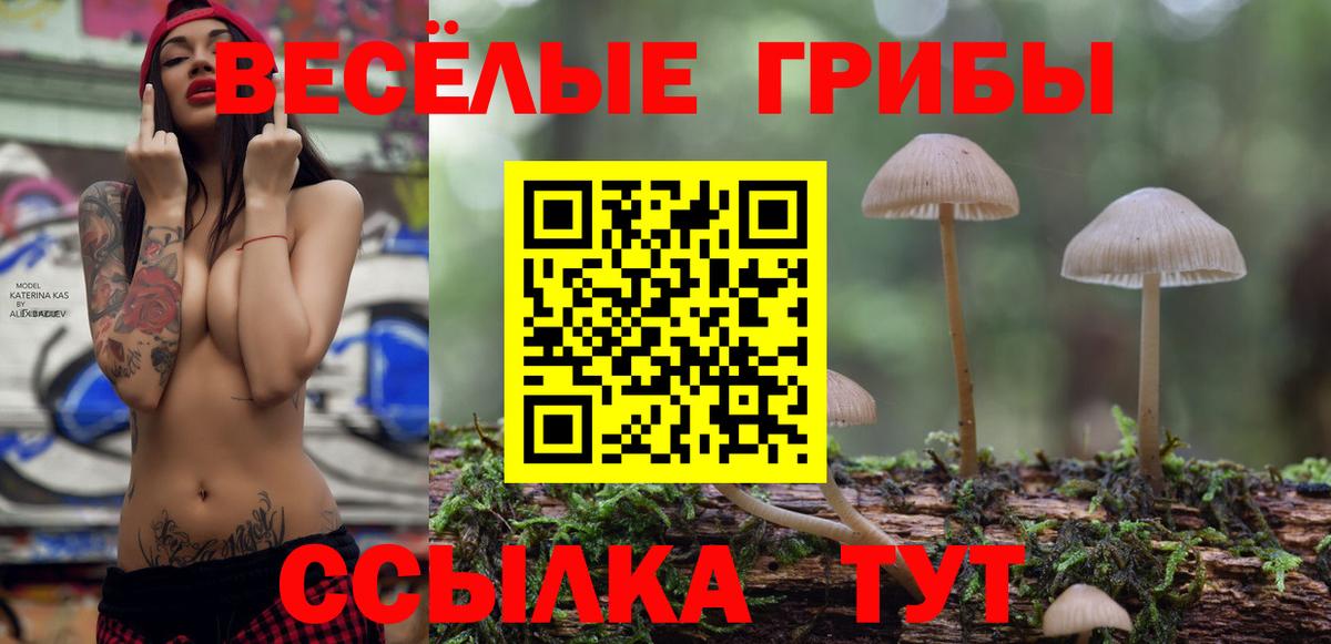 где найти   Галлюциногенные грибы мицелий  Псилоцибиновые грибы ЛСД  Вход с VPN  Мценск 