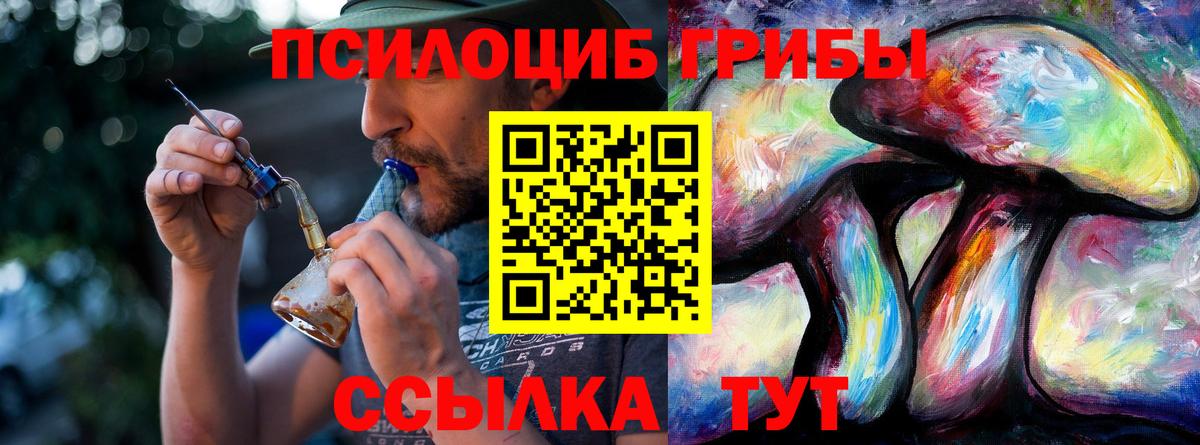 Галлюциногенные грибы GOLDEN TEACHER Мценск